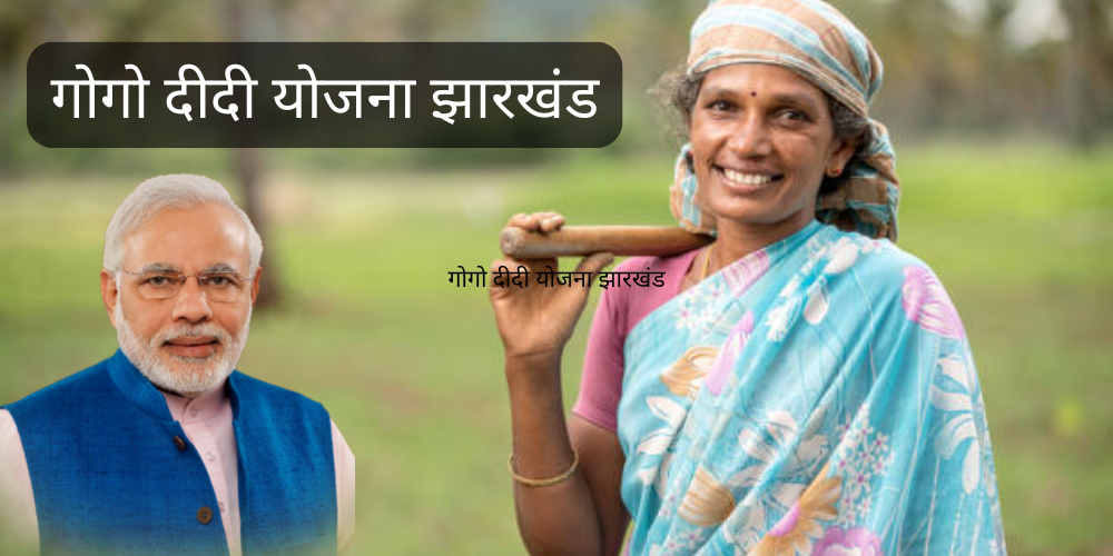 Gogo didi yojana application form Jharkhand